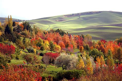 Brilliant Splashes of Autumn Color in Western Idaho