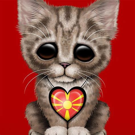 Cute Kitten Cat With Macedonian Flag Heart By Jeff Bartels Vaderdag