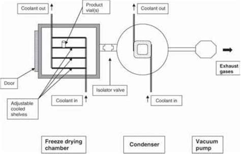 Freeze Drying Phase Diagram