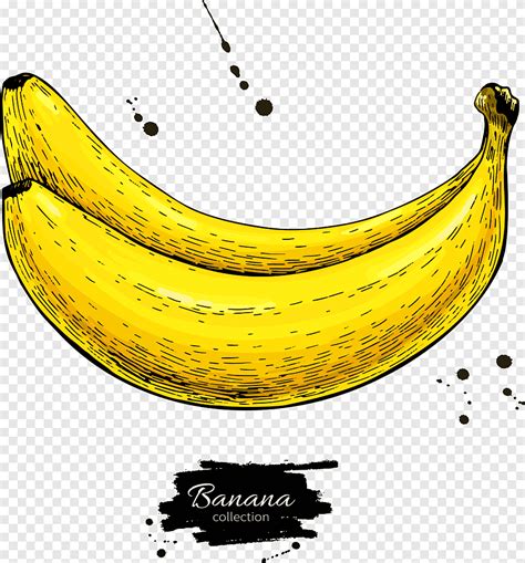 Banana Hand Drawing Png Pngegg