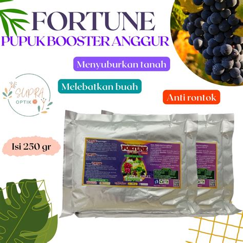 Jual Pupuk Booster Anggur Cepat Berbuah Pupuk Anggur Masa Pertumbuhan