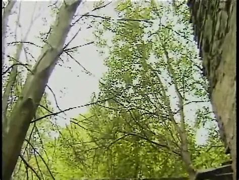 Rapture Free Gay Hunk Big Cock Porn Video XHamster XHamster