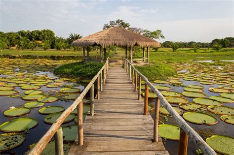 Roteiro Para Nobres Pantanal e Chapada dos Guimarães 8 Dias