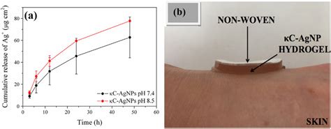 A Cumulative In Vitro Release Of Ag From Cg Agnp Hydrogel In