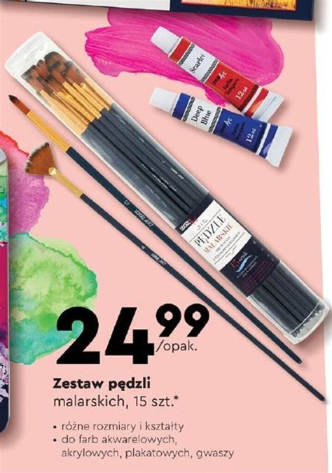 Promocja Zestaw pędzli malarskich 15 szt w Biedronka