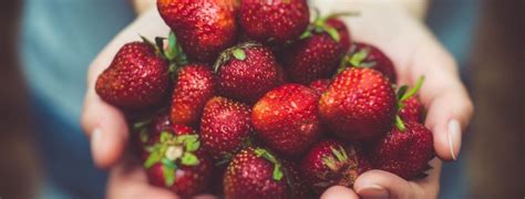 Seductive Strawberries How This Aphrodisiac Fruit Can Boost Your Sex