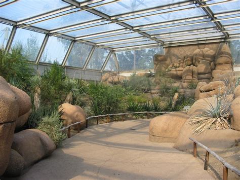 Arnhem Zoo 2004 - Inside the Desert building - ZooChat