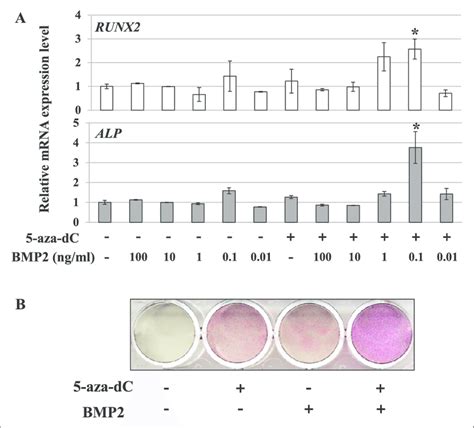 Primary Human Gingival Fibroblast Hgf Cells Show Considerable