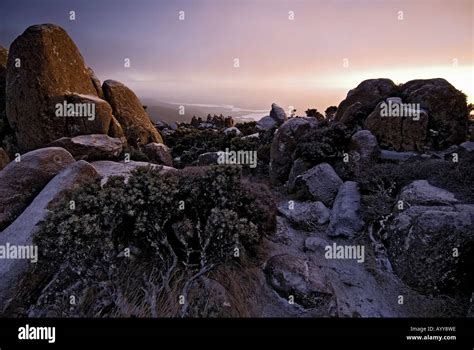 sunrise on mount wellington Stock Photo - Alamy