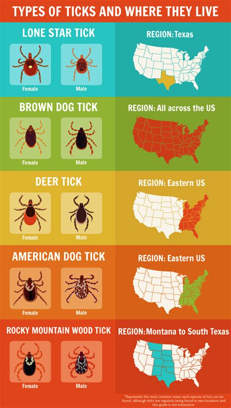 Here S A Handy Guide On Ticks Protect Yourself Types Of Ticks Ticks Survival