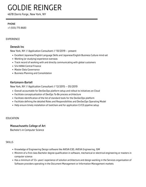 Application Consultant Resume Samples Velvet Jobs