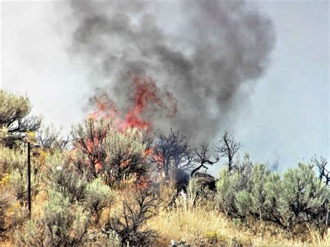 Deer Park Fire now 65 percent contained; minimal fire activity | News ...