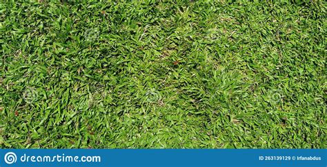 Green Grass in Football Field Stock Image - Image of soil, crop: 263139129