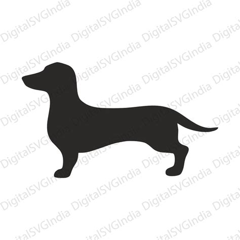 Dachshund Svg Dog Svg Dachshund Silhouette Dachshund Outline Png