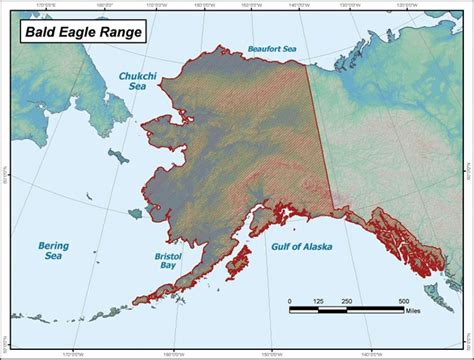 Bald Eagle Range Map, Alaska Department of Fish and Game