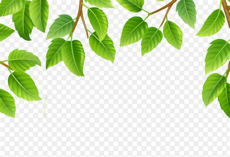 Details 100 Background Png Nature Abzlocal Mx