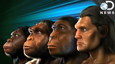 considered  ancestor