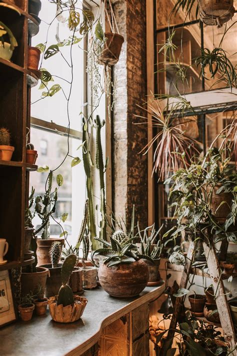 C Mo Decorar Ventanas Con Plantas Y Flores De La Manera M S Adorable