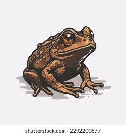 Frog Vector Cartoon Illustration Art Stock Vector (Royalty Free) 2292200577 | Shutterstock