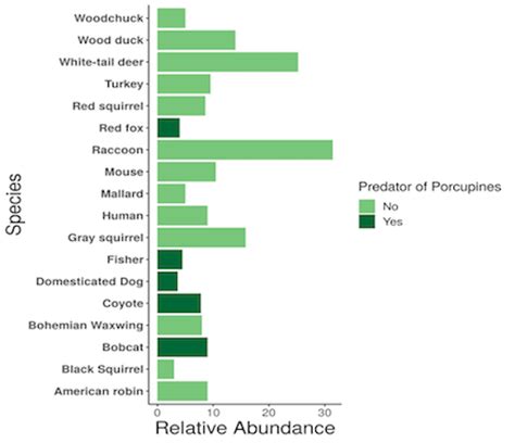 What Is Causing Low Porcupine Abundance Nature Up North