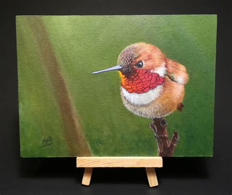 Male Rufous Hummingbird Acrylic Painting Horst Peter S Ko Fi Shop