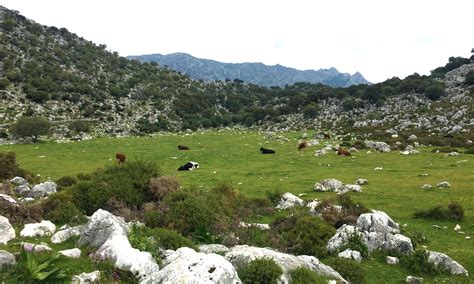 wandelroute sendero salto del cabrero grazalema 05 Wandelen in Andalusië