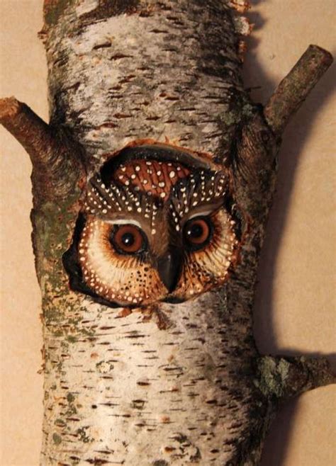 Romantic Easy Wood Owl Carving Patterns And Owl Carving Wood Wall Art