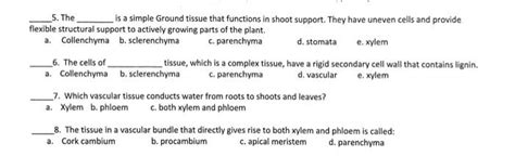 Solved 5. The is a simple Ground tissue that functions in | Chegg.com