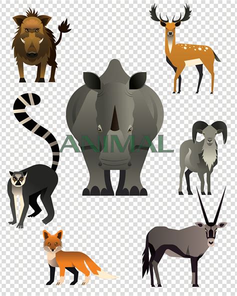 Jungle animals set. 35083036 Vector Art at Vecteezy