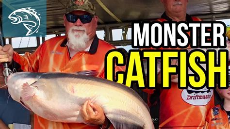 Monster Catfish On The Mississippi River With Godwin Youtube