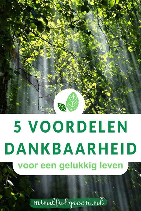 7 Natuurlijke Tips Om Je Weerstand Te Versterken Artofit