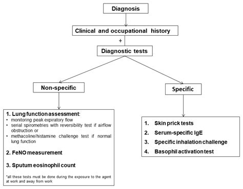 Ijerph Free Full Text Progress In Occupational Asthma