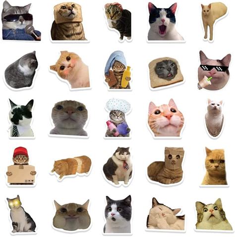 50pcs Cat Stickers Pack For Cat Lovers Teens Kids