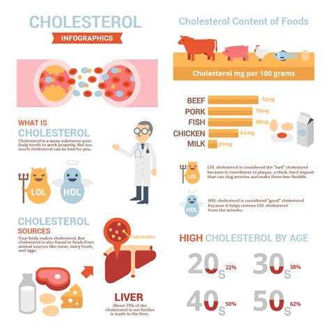 Is Cholesterol Good Or Bad For Your Health? Infographic