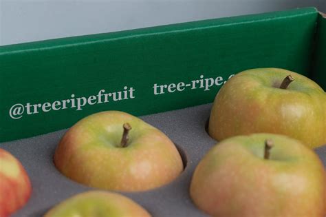 Oregon Mountain Rose Apples | Tree-Ripe Fruit Co.