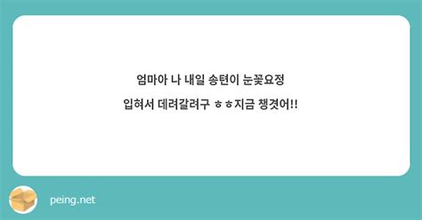 엄마아 나 내일 송텬이 눈꽃요정 입혀서 데려갈려구 ㅎㅎ지금 챙겻어 Peing 質問箱