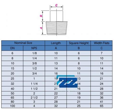 Square Head Stainless Steel Threaded Pipe Fittings Threaded Plug