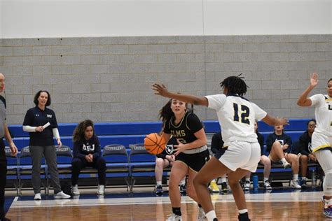 Elms College Womens Basketball Camps