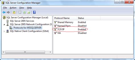 Sql Server Cannot Connect To Sqlserver Database In Java Hot Sex Picture