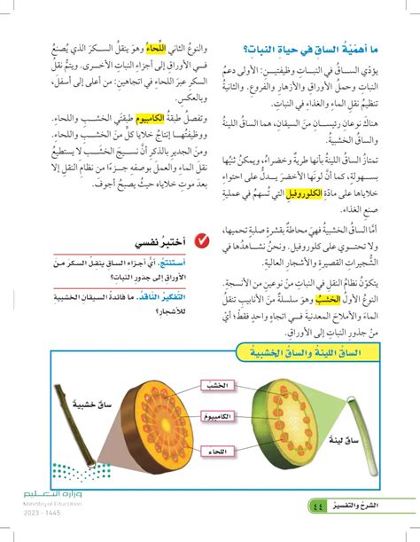 النباتات إثراءات النباتات العلوم 1 خامس ابتدائي المنهج السعودي