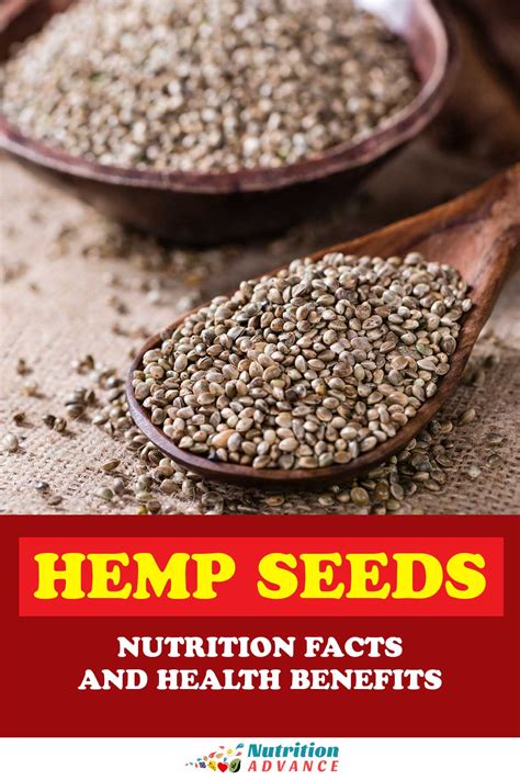 The Benefits of Hemp Seeds (and Full Nutrition Facts) - Nutrition Advance