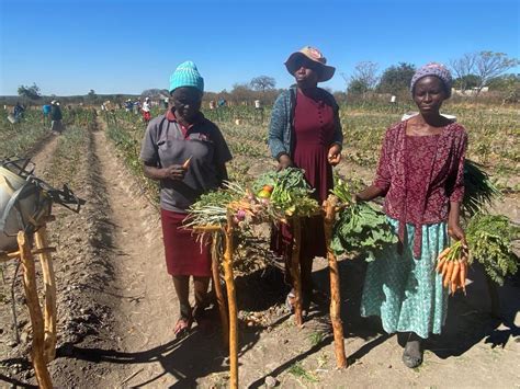 Farmers Urged To Use Pesticides Sustainably New Ziana