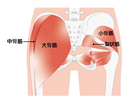 【お尻は意外とこっている】運動不足＆長時間デスクワークで硬くなったお尻をストレッチするヨガポーズ ヨガジャーナルオンライン