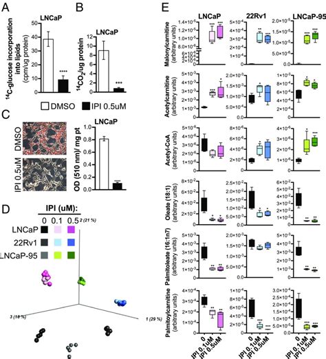 Inhibition Of De Novo Lipogenesis Targets Androgen Receptor Signaling