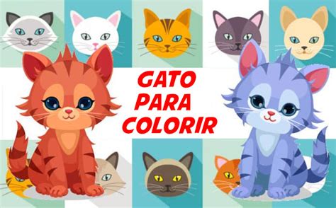 Gato Para Colorir Desenhos Para Imprimir Verloop Io