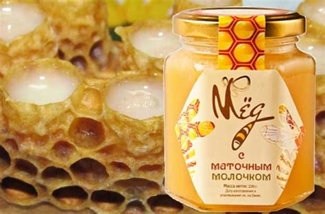 Мед с маточным молочком: как хранить и принимать королевский белый мед ...