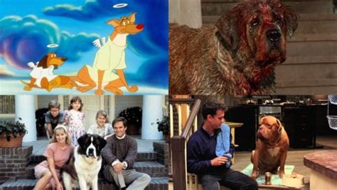 Man's Best Friend: The Top 10 Dog Movies | Flickering Myth