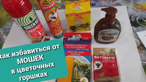 КАК ИЗБАВИТЬСЯ ОТ МОШЕК В ЦВЕТОЧНОЙ РАССАДЕ. ПРЕДЛАГАЮ ПРОВЕРЕННЫЕ ...
