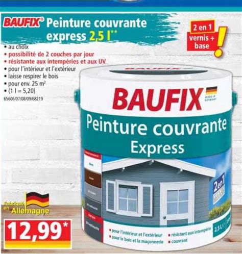 Promo Peinture Couvrante Express 2 5 L Baufix Chez Norma ICatalogue Fr