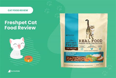 Freshpet Cat Food Review Of 2024 Recalls Pros And Cons Catster